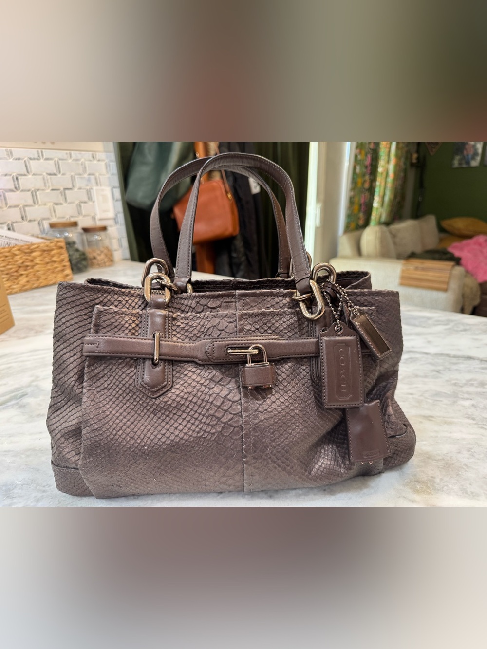 Coach Chelsea Jayden Embossed Leather Satchel 18741